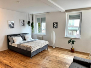 Modernes, renoviertes Apartment nähe dem Zentrum kostenloses Parken